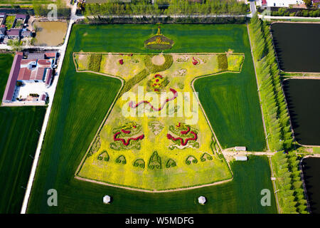 Luftaufnahme von Cole Blumen bilden ein Drache Robe in einem Feld in einem Dorf in Nanjing, Provinz Jiangsu im Osten Chinas, den 6. April 2018. Stockfoto