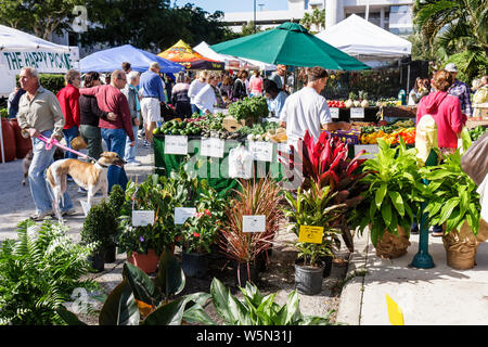 West Palm Beach Florida, Greenmarket, Green Farmers Market, Verkäufer, Stände Stand Markt Pflanzen, Kindergarten, Gartenarbeit, Töpfe, Shopping Shopper shopp Stockfoto