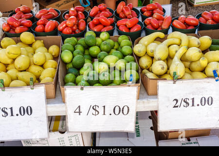 West Palm Beach Florida, Greenmarket, Green Farmers Market, Verkäufer, Stände Stand Markt Shopping Shopper Shopper Shop Shops Markt Kauf s Stockfoto