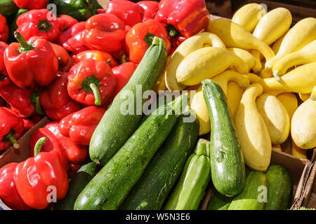 West Palm Beach Florida, Greenmarket, Green Farmers Market, Verkäufer, Stände Stand Markt Shopping Shopper Shopper Shop Shops Markt Märkte Stockfoto