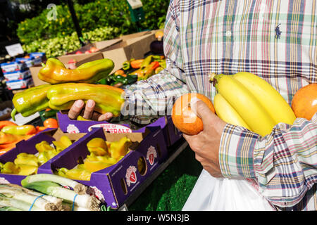 West Palm Beach Florida, Greenmarket, Green Farmers Market, Farmers, Farmers', Verkäufer Verkäufer Verkäufer, Stände Stand Händler Händler Markt Marktplatz Stockfoto