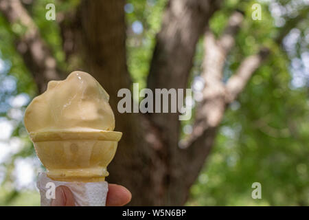 Französische Vanille Eis in einem Kegel ist von Hand gegen einen Baum im Hintergrund gehalten, da es im Sommer Wärme genossen wird. Stockfoto