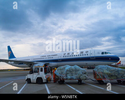 ---- Ein Flugzeug von China Southern Airlines ist auf einem Flughafen in Shanghai, China, 19. Februar 2018 geparkt. China Southern Airlines und China East Stockfoto