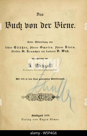 Das Buch von der Biene Stockfoto