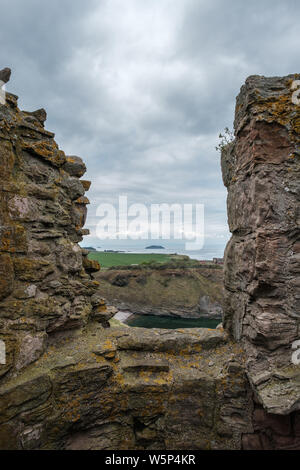 Blick auf eine kleine Bucht und Felsen in Richtung Craigleith Insel von den Wällen der Ruinen des 14. Jahrhunderts Tantallon Castle in East Lothian in Scot Stockfoto