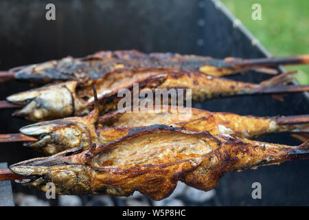 Detailansicht von gegrilltem Fisch Makrele mit Gewürzen am Lagerfeuer Stockfoto