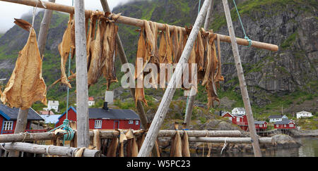 Trocknen Stockfisch Kabeljau in Å Dorf mit traditionellen roten rorbu Häuser und Fjord der Hintergrund im Sommer, Lofoten, Norwegen Stockfoto