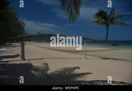 Eine unterstützte horizontale Kokospalme auf halbem Wege entlang Sairee Beach, Koh Tao, Thailand Stockfoto