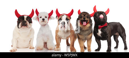 Lustige Gruppe von fünf Hunden das Tragen der roten Teufel Hörner stehen und sitzen auf weißem Hintergrund Stockfoto