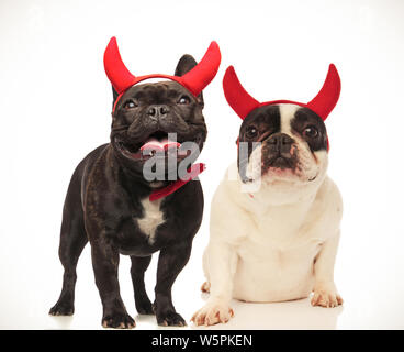 Paar nette französische Bulldoggen Halloween feiern gekleidet wie Teufel, collage Bild Stockfoto