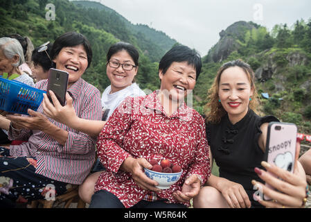 Lokale Knaben helfen Senioren live streaming webcast Ihre lokale Spezialität, Yangmei oder Chinesischen bayberry zu verkaufen, auf Alibaba's e-commerce platfor Stockfoto