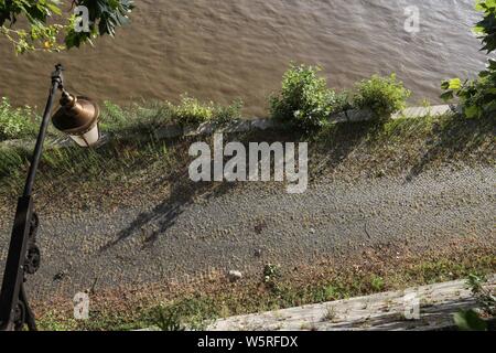 Rom, Italien. 29. Juli, 2019. Ein 19-jähriger französischer Tourist starb nach Sturz von Lungotevere Dei Tebaldi auf die zugrunde liegende Plattform - Die Absturzstelle Credit: Unabhängige Fotoagentur Srl/Alamy leben Nachrichten Stockfoto