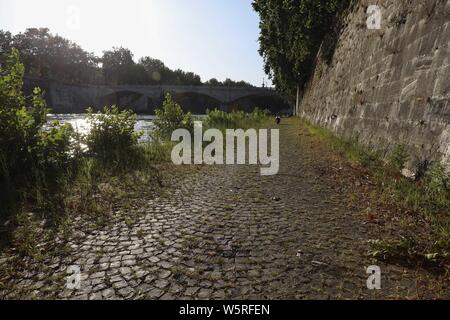 Rom, Italien. 29. Juli, 2019. Ein 19-jähriger französischer Tourist starb nach Sturz von Lungotevere Dei Tebaldi auf die zugrunde liegende Plattform - Die Absturzstelle Credit: Unabhängige Fotoagentur Srl/Alamy leben Nachrichten Stockfoto