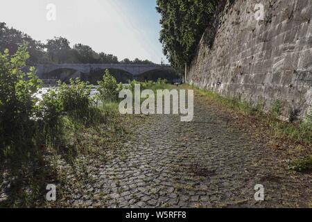 Rom, Italien. 29. Juli, 2019. Ein 19-jähriger französischer Tourist starb nach Sturz von Lungotevere Dei Tebaldi auf die zugrunde liegende Plattform - Die Absturzstelle Credit: Unabhängige Fotoagentur Srl/Alamy leben Nachrichten Stockfoto