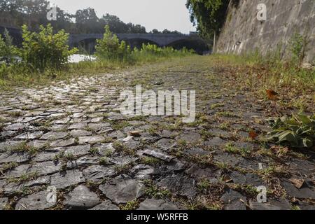 Rom, Italien. 29. Juli, 2019. Ein 19-jähriger französischer Tourist starb nach Sturz von Lungotevere Dei Tebaldi auf die zugrunde liegende Plattform - Die Absturzstelle Credit: Unabhängige Fotoagentur Srl/Alamy leben Nachrichten Stockfoto