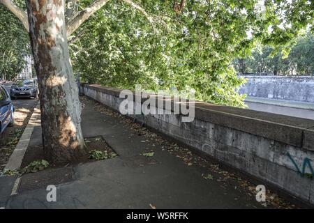 Rom, Italien. 29. Juli, 2019. Ein 19-jähriger französischer Tourist starb nach Sturz von Lungotevere Dei Tebaldi auf die zugrunde liegende Plattform - Die Absturzstelle Credit: Unabhängige Fotoagentur Srl/Alamy leben Nachrichten Stockfoto