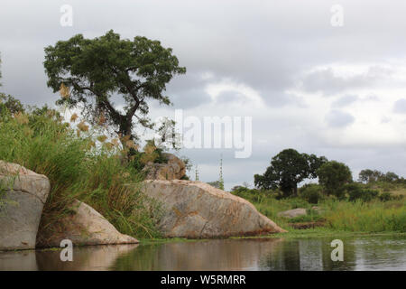 Biyamiti Wehr/Biyamiti Wehr/ Stockfoto