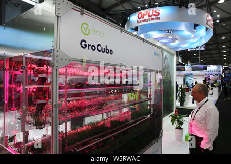 Besucher sehen die Vertikale Landwirtschaft am Stand von Grocube während der 2019 International Consumer Electronics Show (CES Asien Asien 2019) in Shanghai, C Stockfoto