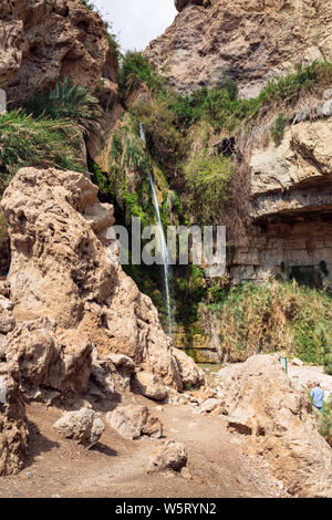 Eine touristische Anzeigen der David fällt auf die David Bach im Ein Gedi Park in Israel, die Klippen und tropische Vegetation in der Wüste wachsenden Stockfoto