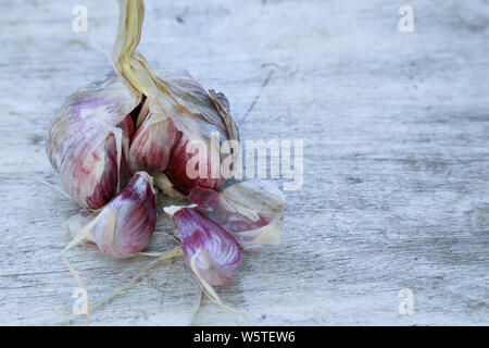 Frischer Knoblauch auf vintage Tabelle close up, Knoblauch, Zwiebel Knoblauchzehen in Houten, Stockfoto