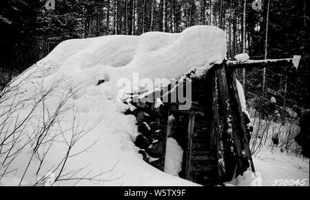 Foto von alten Homesteader Kabine gebaut von Henry Hudson gefunden auf Holz Erhebung; Umfang und Inhalt: Original Bildunterschrift: Alte homesteader Kabine auf Holz Umfrage gefunden. Von Henry Hudson am südlichen Ufer des Hudson See gebaut (von historischem Interesse). Stockfoto