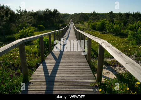 Holzsteg über die Dünen in Sao Jacinto Nature Reserve in der Nähe von Aveiro, Portugal. Stockfoto