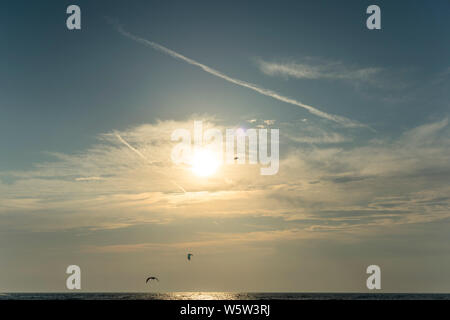 Möwen fliegen im Abendlicht über der Küste der Ostsee, Polen 2019. Stockfoto