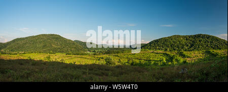 Panoramablick über Landschaft und Wald Stockfoto