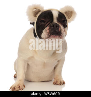 Grumpy französische Bulldogge tragen tragen Ohren Stirnband beim Sitzen auf einem weißen Hintergrund Stockfoto