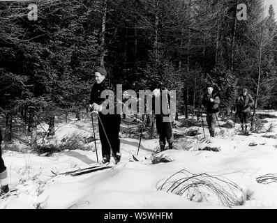 Foto von einer Partei der Skifahrer; Umfang und Inhalt: Original Bildunterschrift: eine Partei der Skifahrer auf einer der Skipisten, Shingobee Winter Spielplatz. Stockfoto