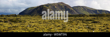 Typische Landschaft des spektakulären moss Bereichen Eldhraun Moss, Lava Rock) im Süden von Island. Stockfoto