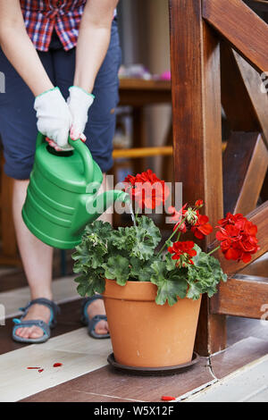 Frau Blumen gießen im Blumentopf wachsen, gießt Wasser vom Bewässern Topf. Ehrliche Menschen, echte Momente, in authentischen Situationen Stockfoto
