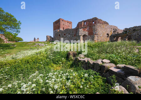 Ruinen der mittelalterlichen Festung Hammershus in der Nähe von Allinge an der Nordwestküste der Insel Bornholm Stockfoto