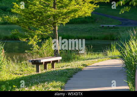 Ein ruhiger Ort mit parkbänken entlang einer gekrümmten Wanderweg neben einem Teich im Abendlicht. Stockfoto