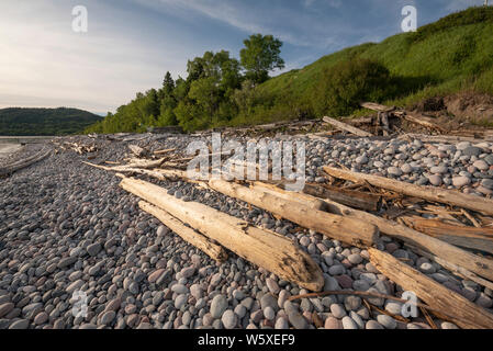 Treibholz und runde Steine am See Superior Strand bei Marathon, Ontario. Stockfoto