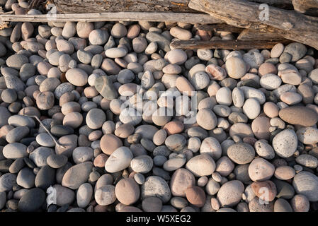 Treibholz und glatte, runde Steine auf einer Küste Strand bei Marathon, Ontario. Stockfoto