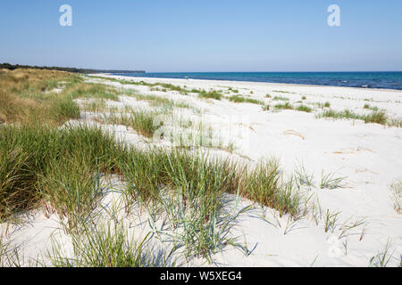 Weißer Sand Strand von Dueodde auf South Island's Westküste, Dueodde, Bornholm, Insel, Ostsee, Dänemark, Europa Stockfoto