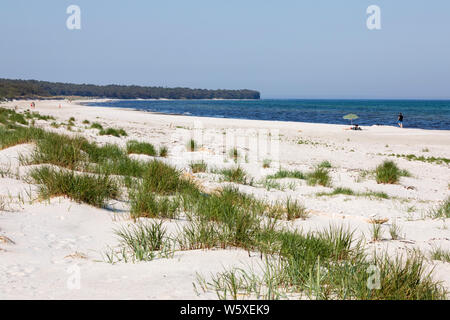 Weißer Sand Strand von Dueodde auf South Island's Westküste, Dueodde, Bornholm, Insel, Ostsee, Dänemark, Europa Stockfoto