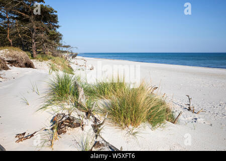 Weißer Sand Strand von Dueodde auf South Island's Westküste, Dueodde, Bornholm, Insel, Ostsee, Dänemark, Europa Stockfoto