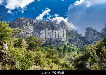 Wandern Aguirre Springs, White Sands NM #6766 Stockfoto