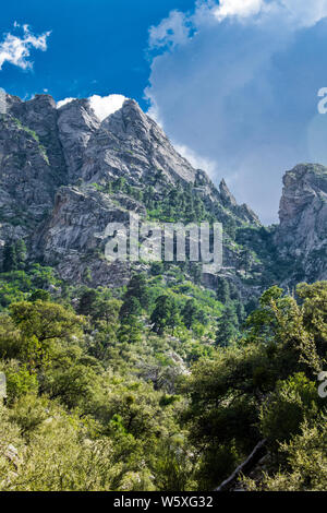 Wandern Aguirre Springs, White Sands NM #6768 Stockfoto