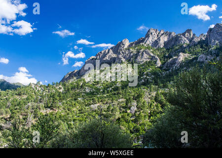 Wandern Aguirre Springs, White Sands NM #6786 Stockfoto