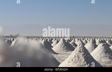 Arbeitnehmer Ernte rohsalz an Yanchi Dorf Gaotai County in Zhangye Stadt im Nordwesten der chinesischen Provinz Gansu, 31. Oktober 2018. Stockfoto