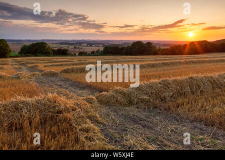 Ancholme Tal, North Lincolnshire. 29. Juli 2019. UK Wetter: Sonnenuntergang von einen Drei-tage-Feld oberhalb der Ancholme Tal. North Lincolnshire, Großbritannien. 29. Juli 2019. Quelle: LEE BEEL/Alamy leben Nachrichten Stockfoto