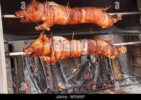 Zwei Spanferkel auf dem Grill Stockfoto