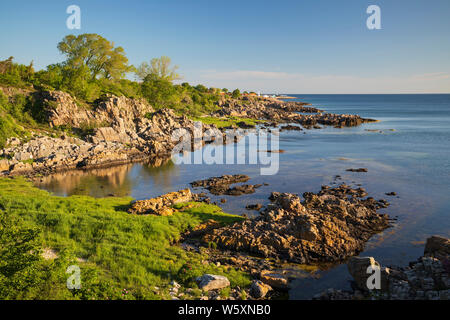 Blick nach Norden, entlang der zerklüfteten Küste in Allinge Sandkaas an der Ostküste, Allinge, Bornholm, Insel, Ostsee, Dänemark, Europa Stockfoto