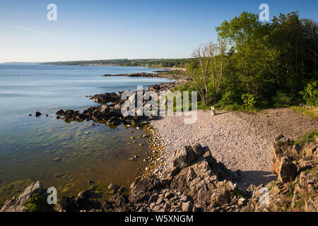 Felsigen Strand Sandkaas an der Ostküste, Tejn, Allinge, Bornholm, Insel, Ostsee, Dänemark, Europa Stockfoto