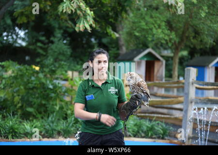 Ande das Lama offiziell eröffnet neue ZSL London Zoo Animal Adventure heute Morgen vom 30. Juli 2019 von seinem Weg durch eine zeremonielle Ribbon munching, nach der Eröffnung der Zoo berühmtheiteltern Michelle Heaton, Charlie Simpson und Katie Piper an der 32.000 qm neue Streichelzoo und Spielplatz auf einer Reise von Wildtieren Entdeckung, die ein Leben lang halten begrüßt. Moderator JB Gill und seiner Familie gefeiert, dass sich ihre Tochter Chiara Geburtstag an den Start. wo die Kleine in einem entzückenden Miniaturausgabe zookeeper Outfit gekleidet met Zwergziegen Dornbusch und Tölpel. . London Zoo. London, Großbritannien Stockfoto