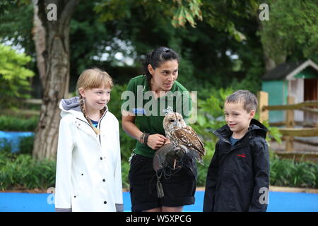 Ande das Lama offiziell eröffnet neue ZSL London Zoo Animal Adventure heute Morgen vom 30. Juli 2019 von seinem Weg durch eine zeremonielle Ribbon munching, nach der Eröffnung der Zoo berühmtheiteltern Michelle Heaton, Charlie Simpson und Katie Piper an der 32.000 qm neue Streichelzoo und Spielplatz auf einer Reise von Wildtieren Entdeckung, die ein Leben lang halten begrüßt. Moderator JB Gill und seiner Familie gefeiert, dass sich ihre Tochter Chiara Geburtstag an den Start. wo die Kleine in einem entzückenden Miniaturausgabe zookeeper Outfit gekleidet met Zwergziegen Dornbusch und Tölpel. . London Zoo. London, Großbritannien Stockfoto