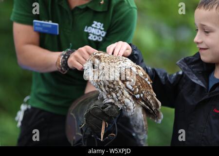 Ande das Lama offiziell eröffnet neue ZSL London Zoo Animal Adventure heute Morgen vom 30. Juli 2019 von seinem Weg durch eine zeremonielle Ribbon munching, nach der Eröffnung der Zoo berühmtheiteltern Michelle Heaton, Charlie Simpson und Katie Piper an der 32.000 qm neue Streichelzoo und Spielplatz auf einer Reise von Wildtieren Entdeckung, die ein Leben lang halten begrüßt. Moderator JB Gill und seiner Familie gefeiert, dass sich ihre Tochter Chiara Geburtstag an den Start. wo die Kleine in einem entzückenden Miniaturausgabe zookeeper Outfit gekleidet met Zwergziegen Dornbusch und Tölpel. . London Zoo. London, Großbritannien Stockfoto